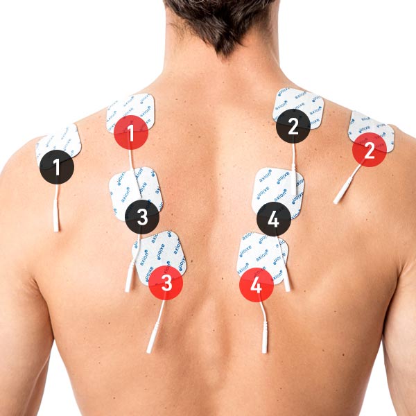 Entrenamiento muscular EMS para la espalda
